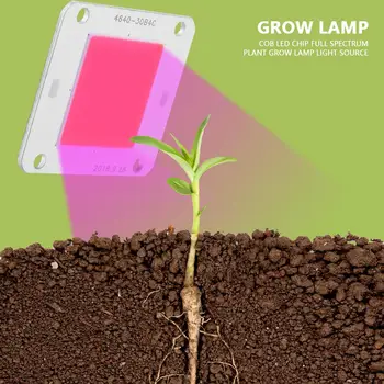 Источник света лампы для выращивания растений с полным спектром светодиодных чипов DC12V 50W COB